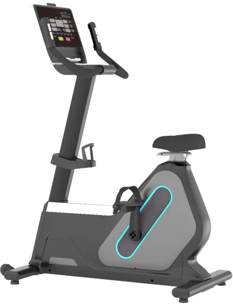Odin PRO B1200 Exercise Bike